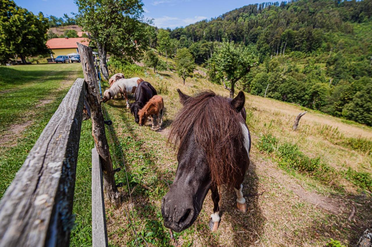 Eko Pony Ranch Ogrizek Apartman Podčetrtek Kültér fotó