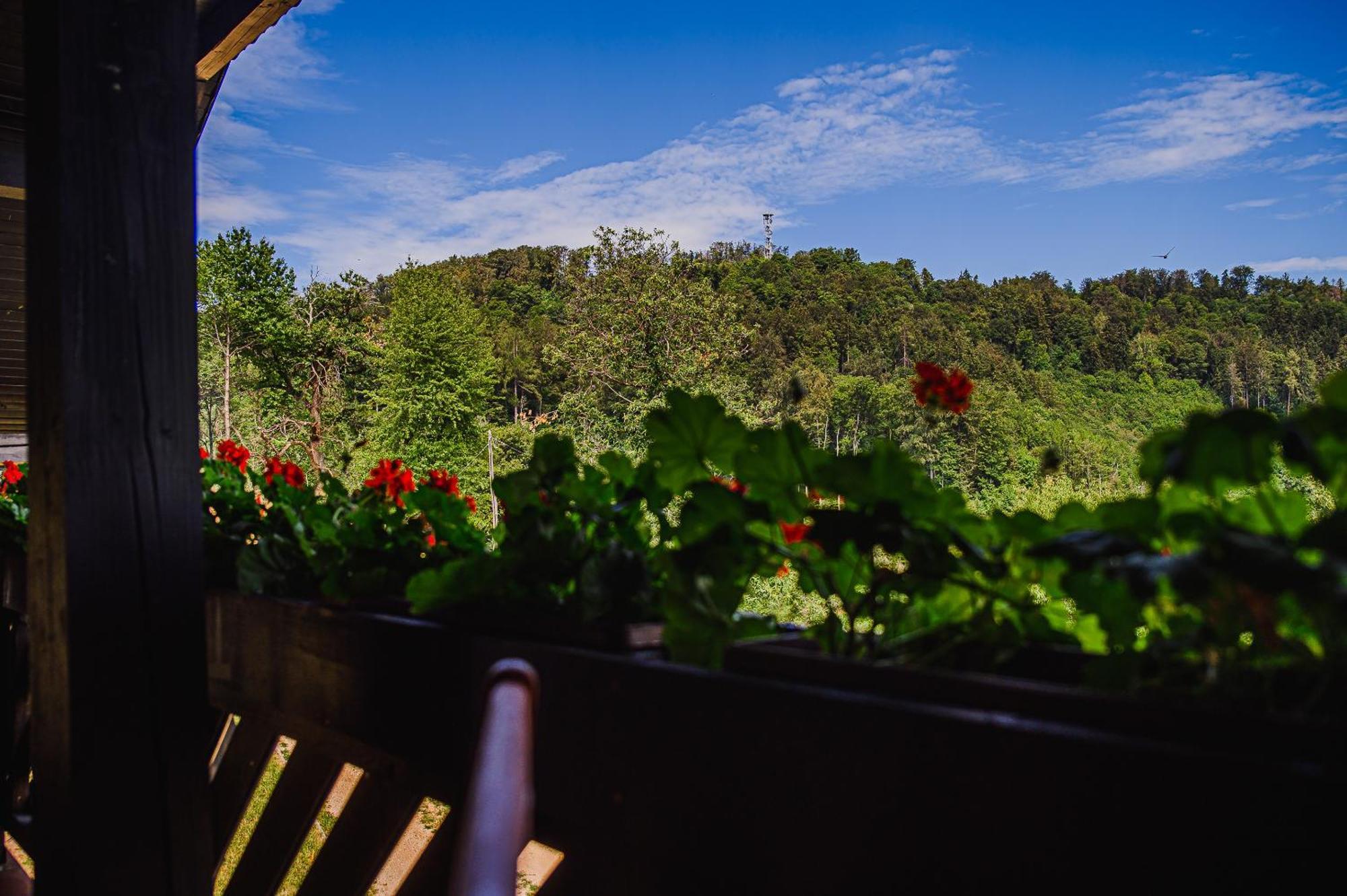 Eko Pony Ranch Ogrizek Apartman Podčetrtek Szoba fotó